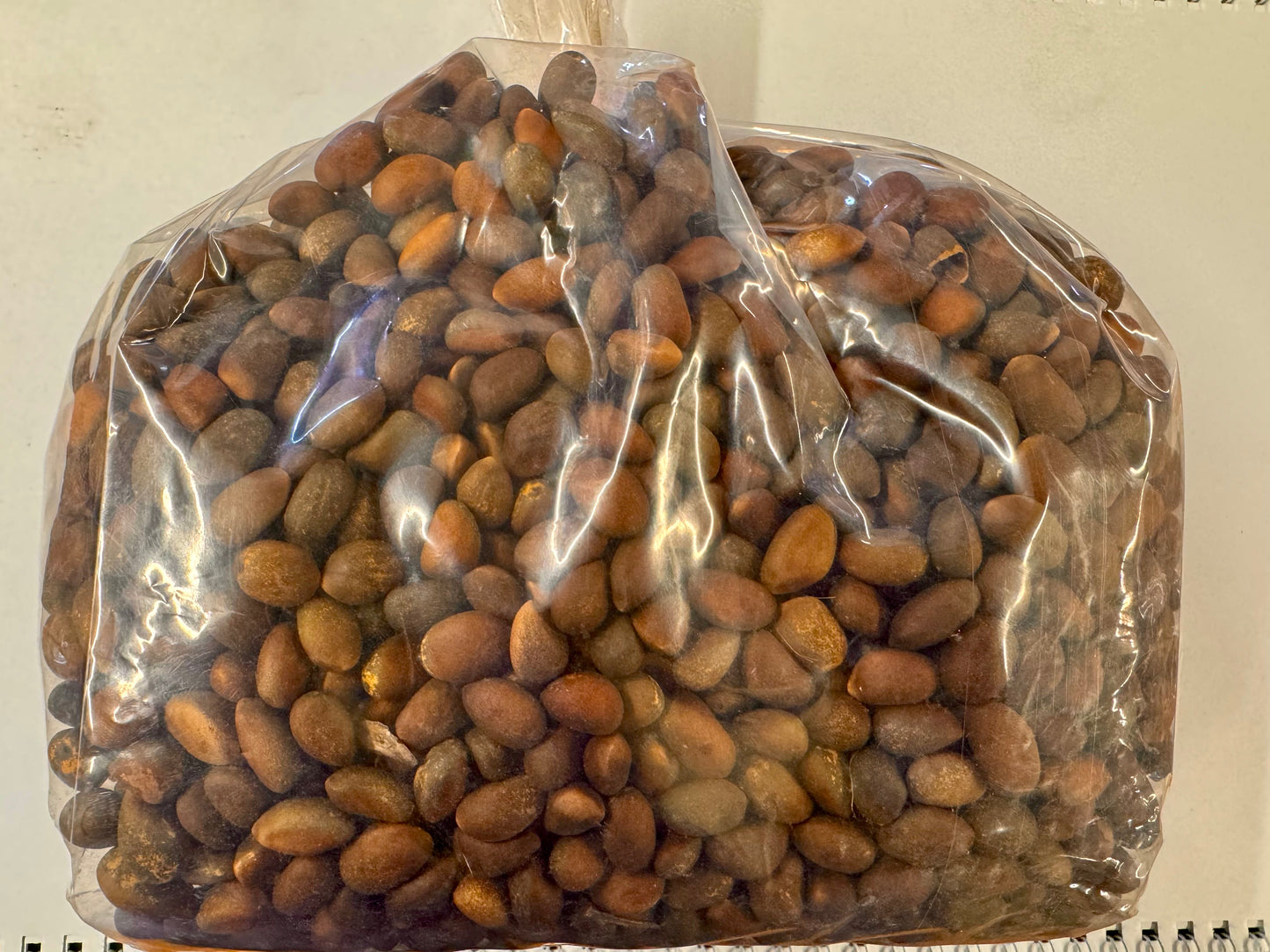 Piñon Nuts