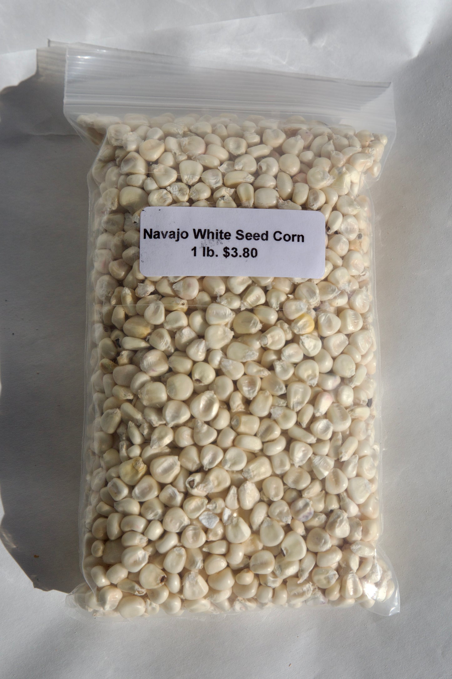 NAVAJO WHITE SEED CORN (Heirloom)