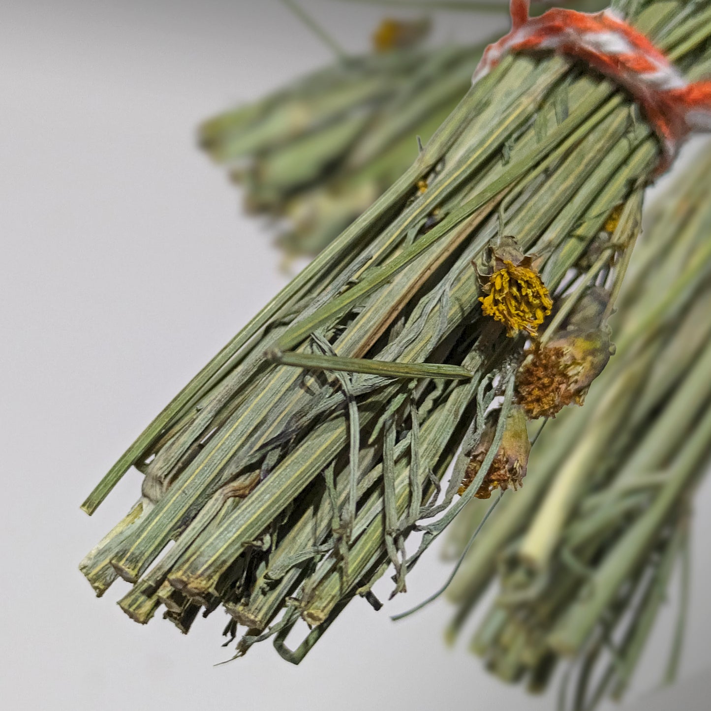 Navajo Tea (Bundles)