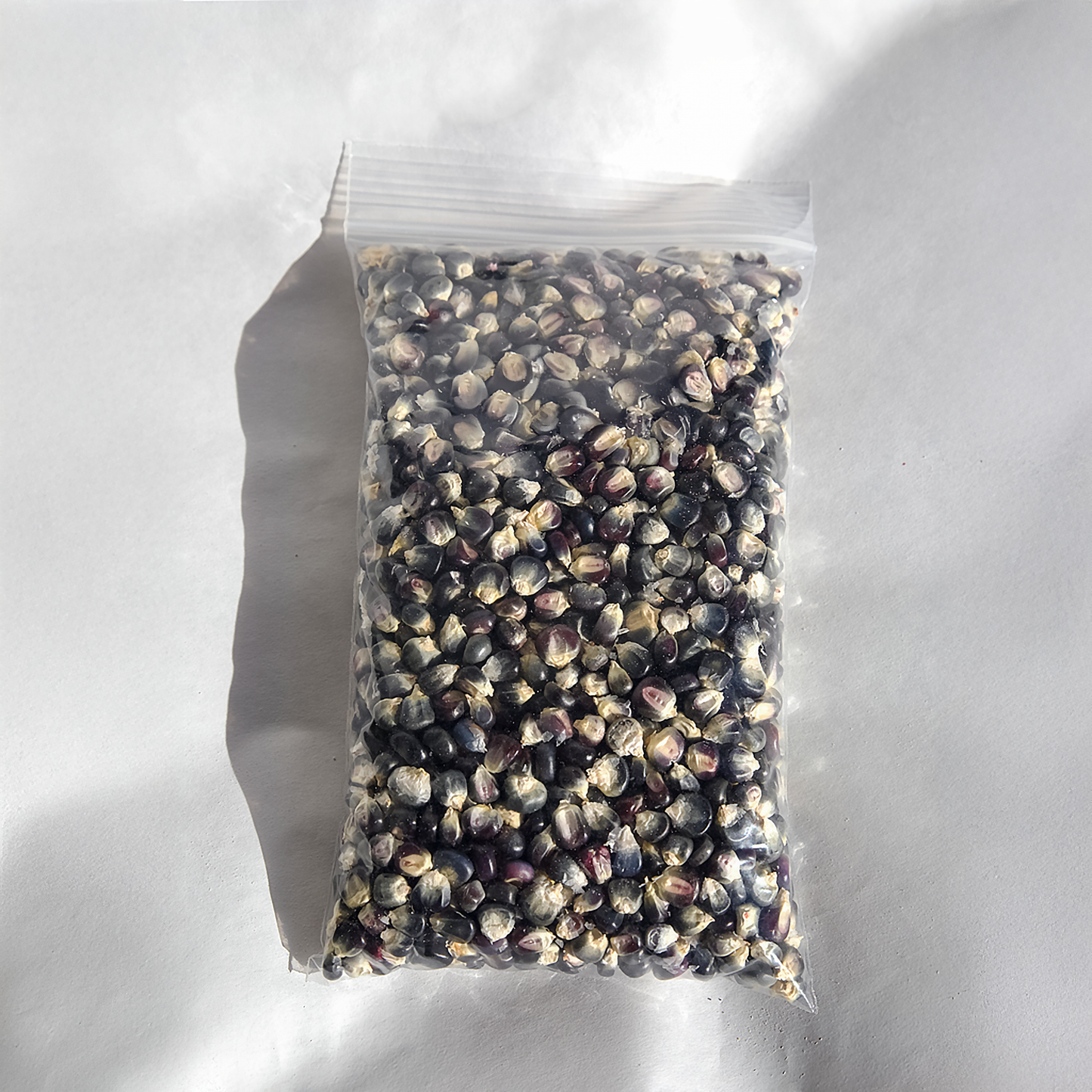 Navajo Blue Seed Corn (Heirloom)