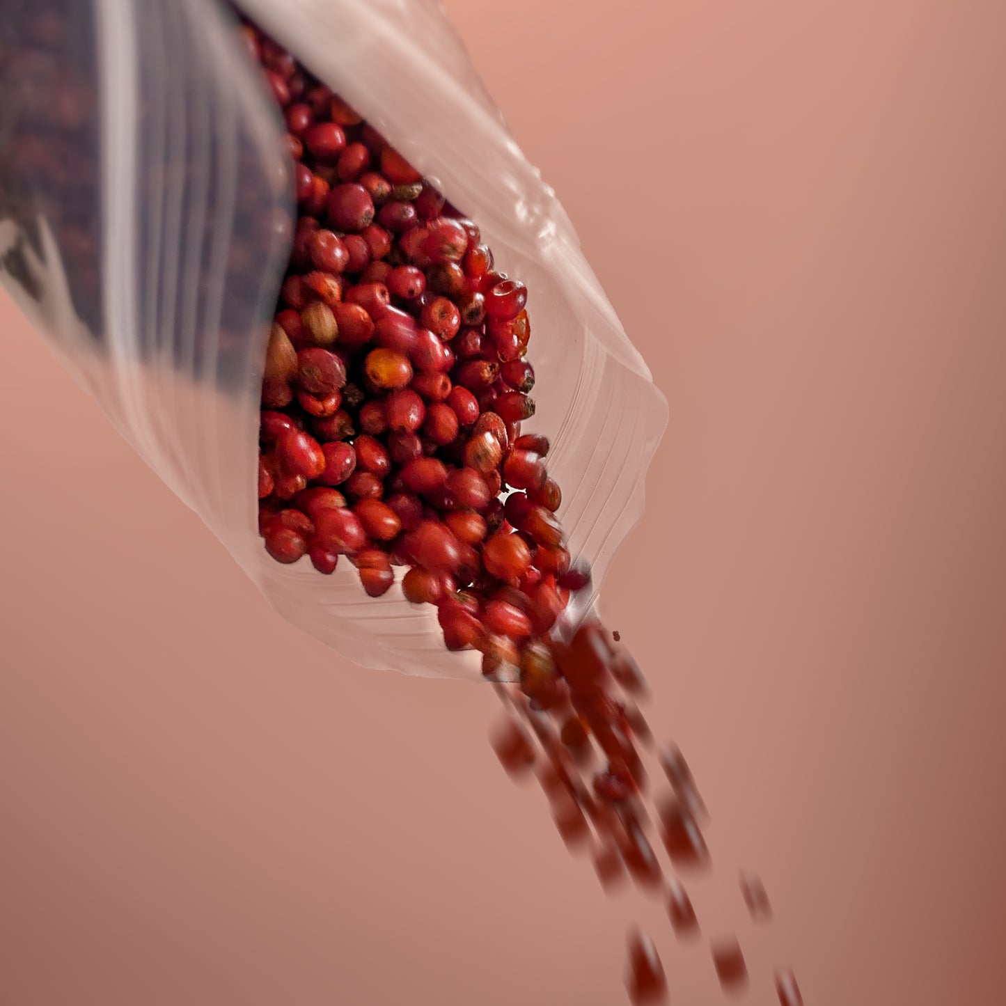 Chiiłchin (Sumac Berries)