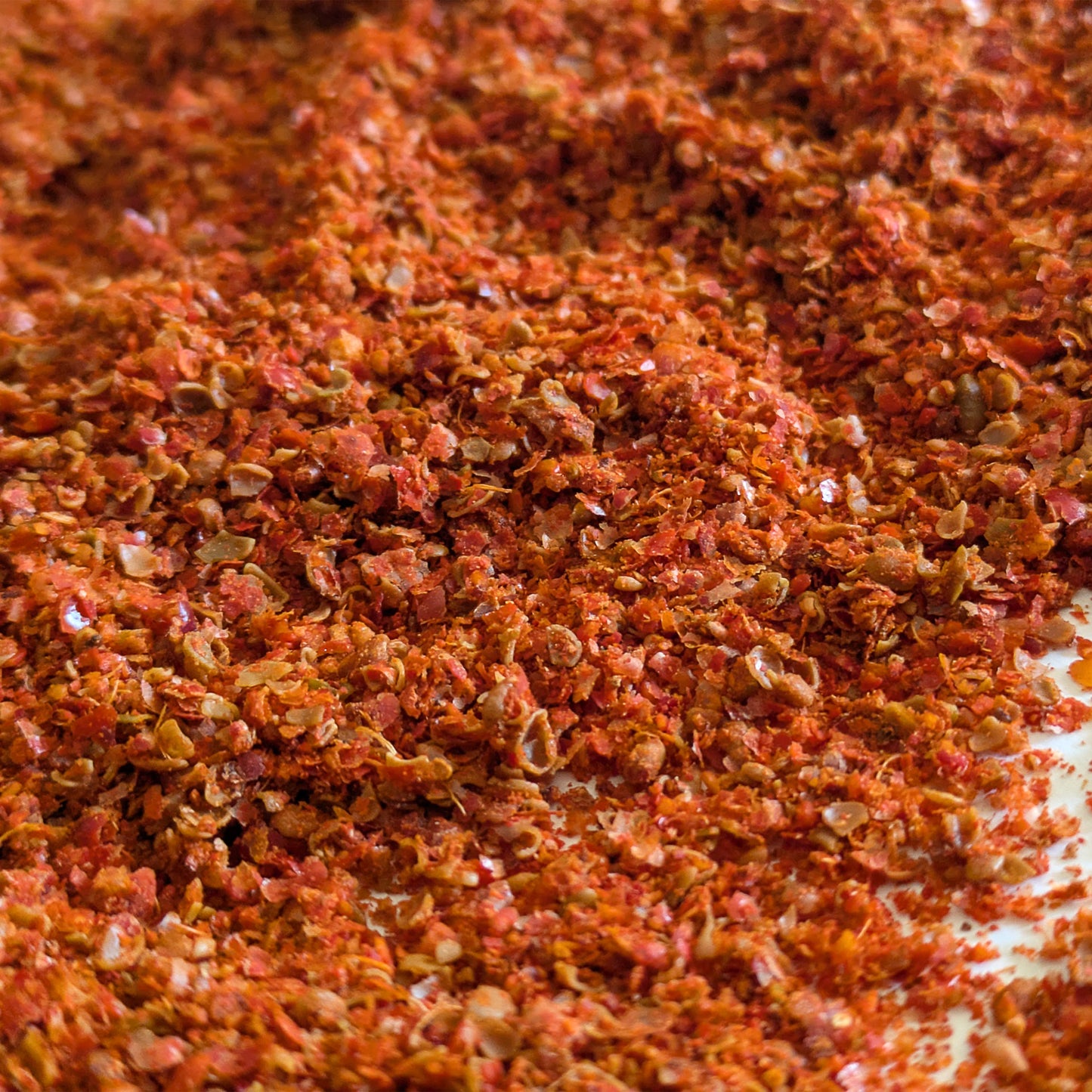 Chiiłchin (Sumac Berries)