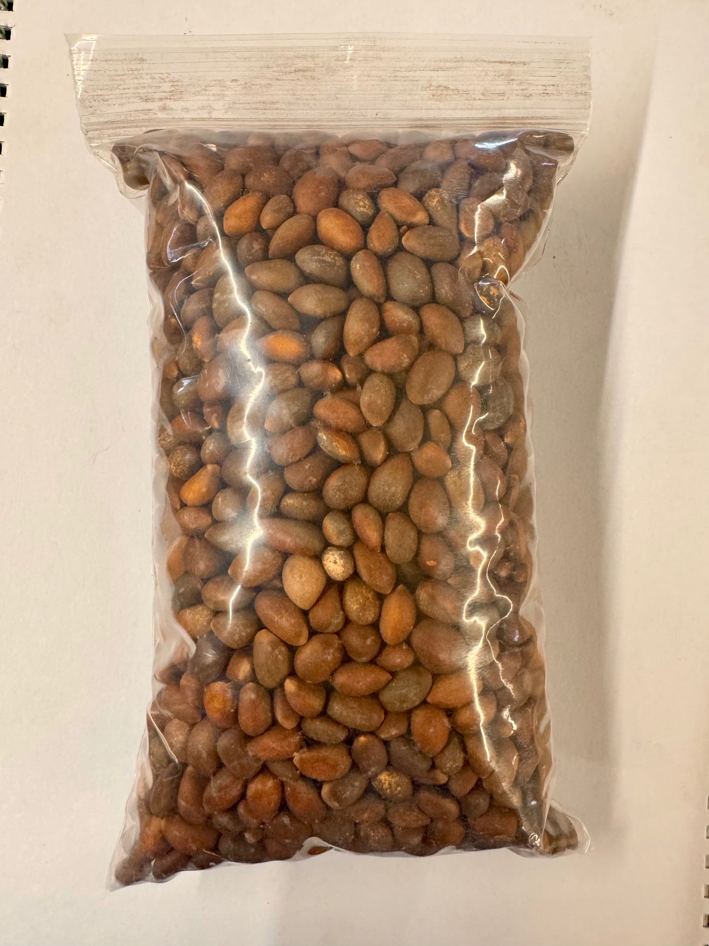 Piñon Nuts