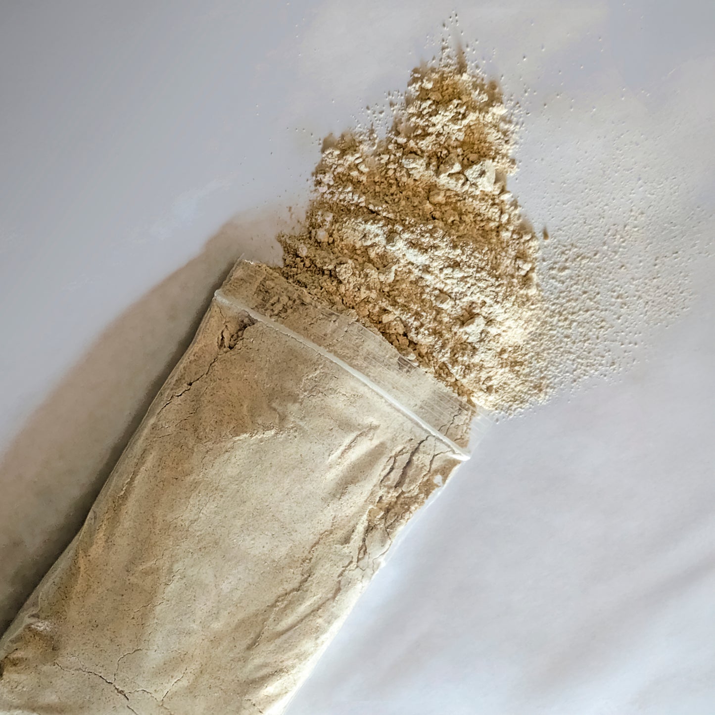 Germinated Wheat (Sprouted and Dried)
