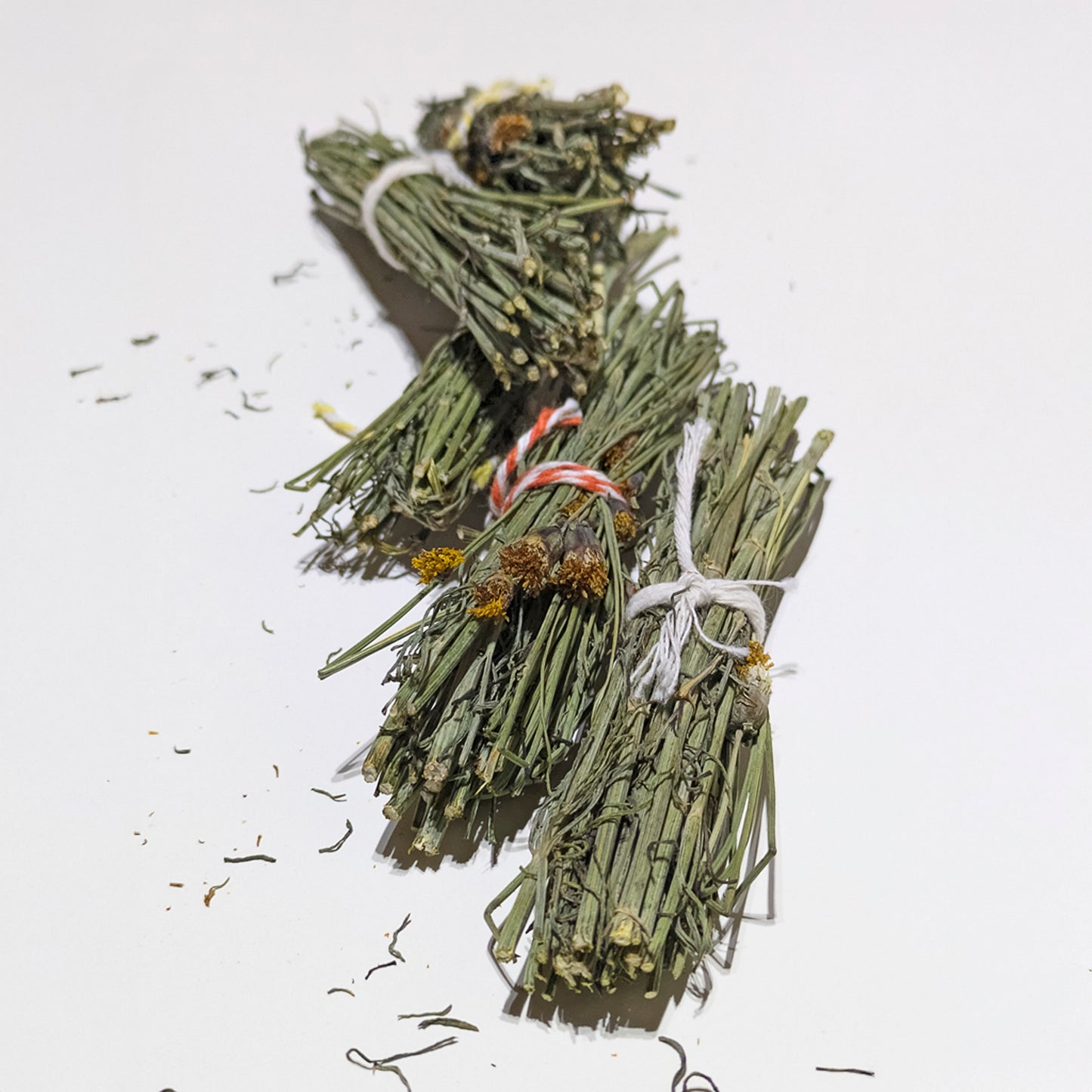 Navajo Tea (Bundles)