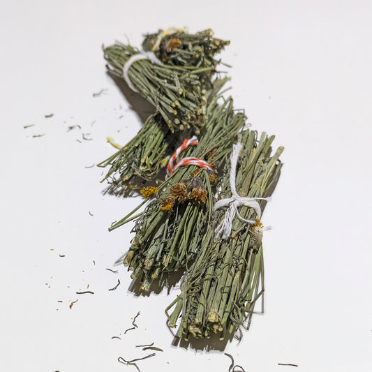 Navajo Tea (Bundles)