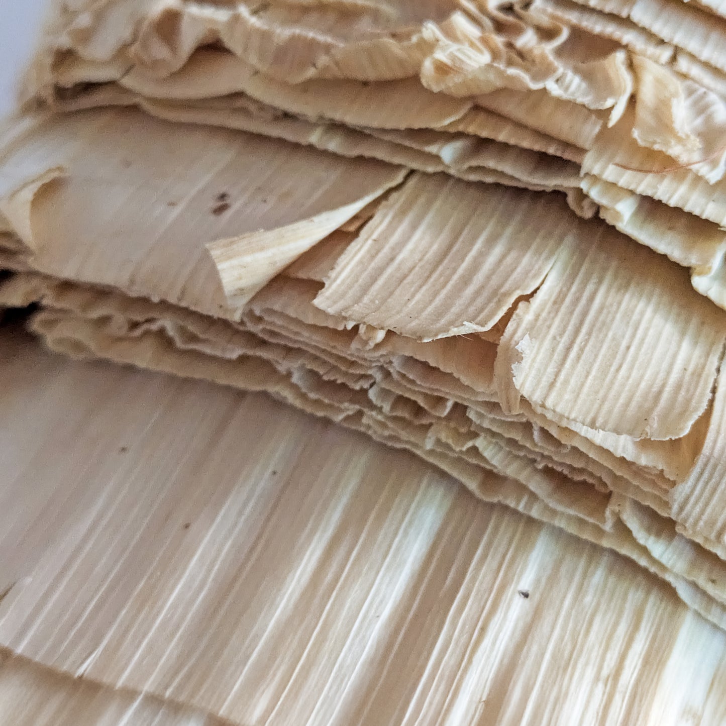 Corn Husks