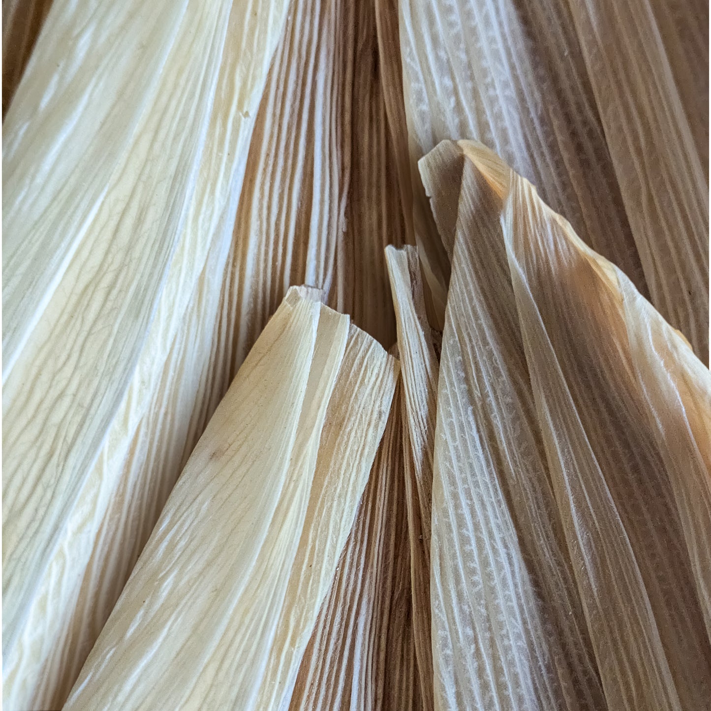 Corn Husks