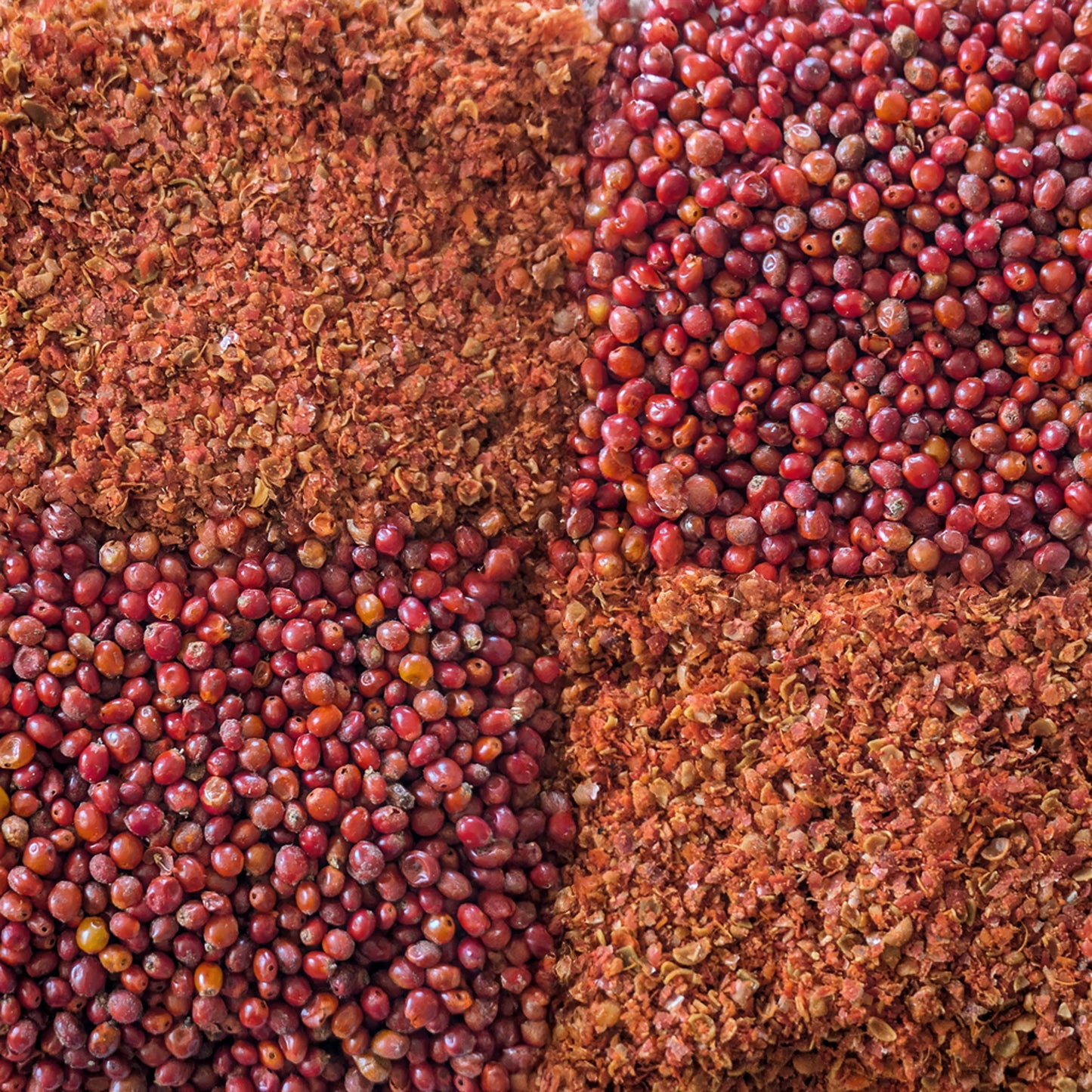 Chiiłchin (Sumac Berries)